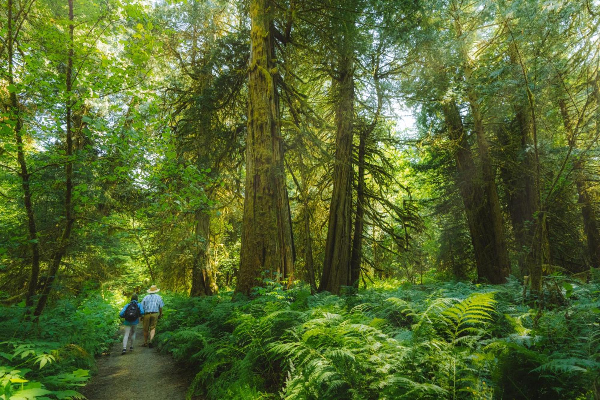 Bella Coola Grizzly Tours And Resort Hagensborg Exterior photo
