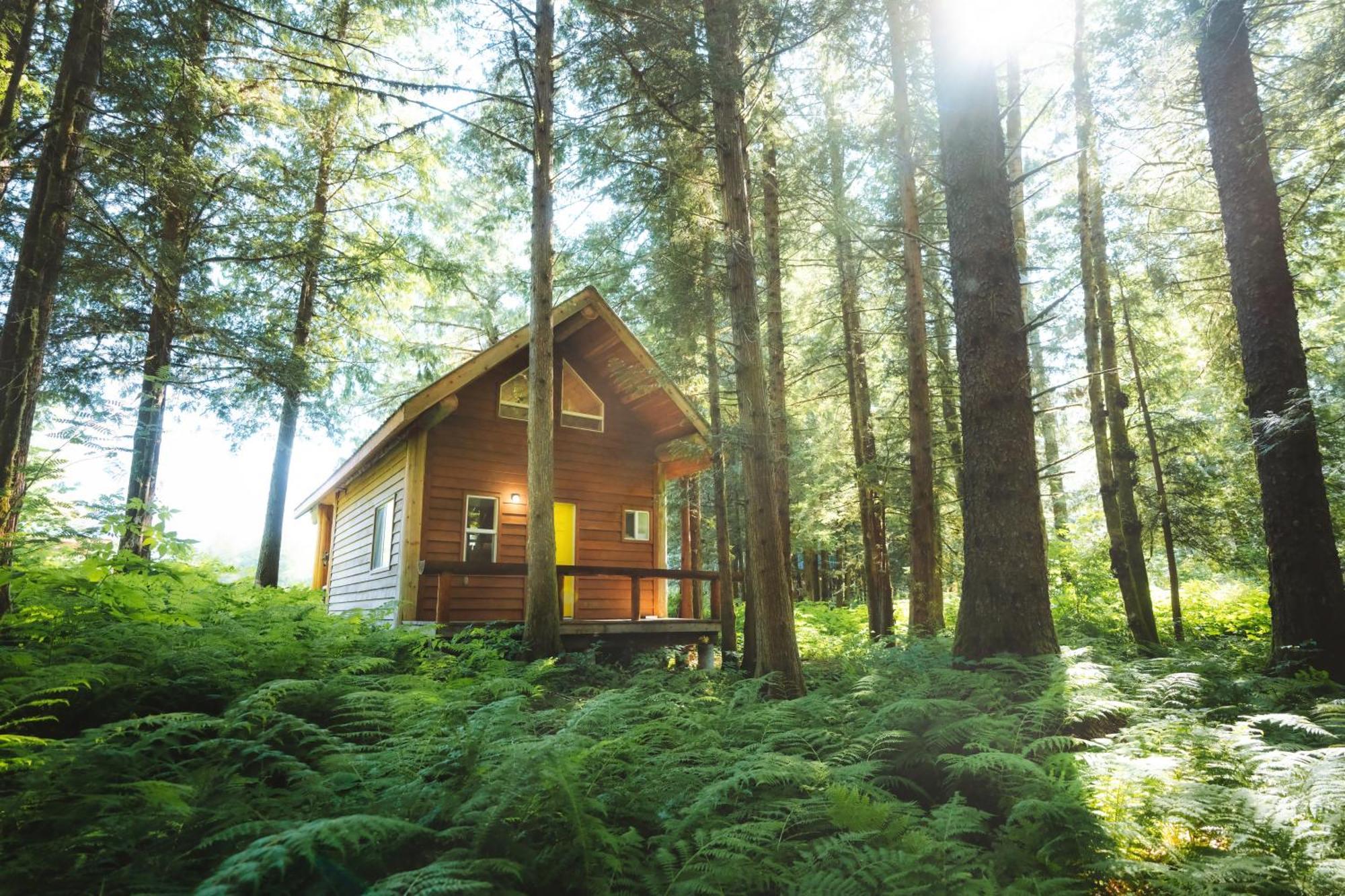Bella Coola Grizzly Tours And Resort Hagensborg Exterior photo
